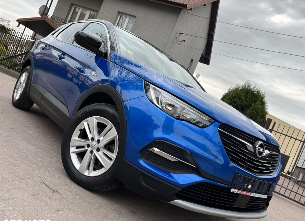 Opel Grandland X cena 61900 przebieg: 173555, rok produkcji 2018 z Działdowo małe 781